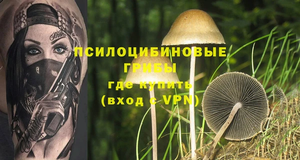 метадон Арсеньев