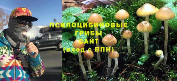 PSILOCYBIN Армянск